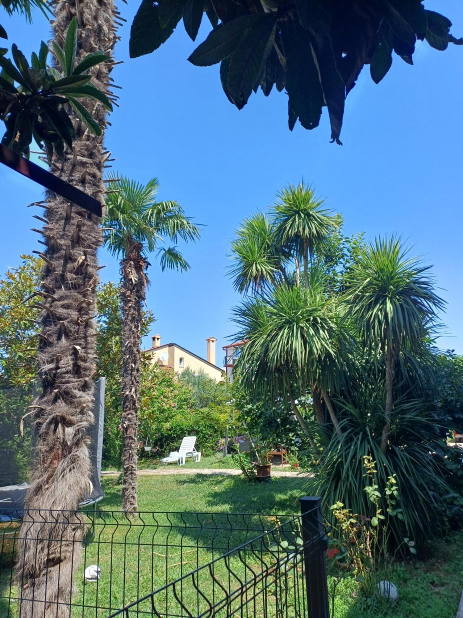 Odak App Rovinj Zewnętrze zdjęcie
